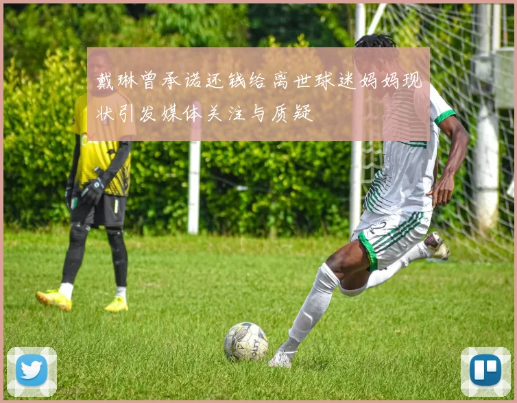 戴琳曾承诺还钱给离世球迷妈妈现状引发媒体关注与质疑