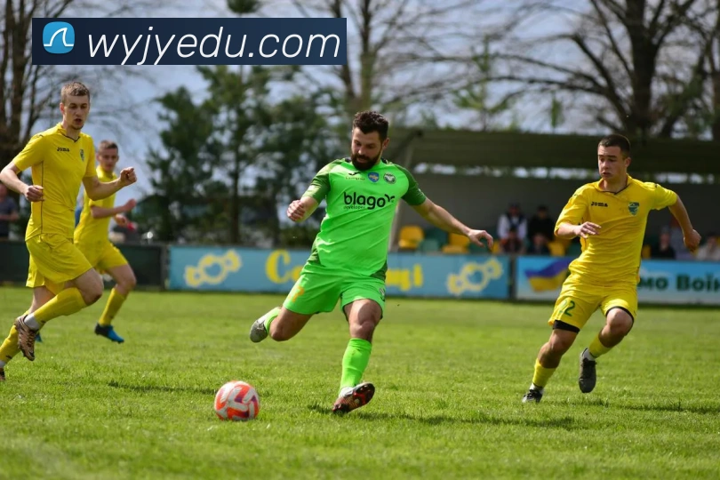 多媒体互动体验